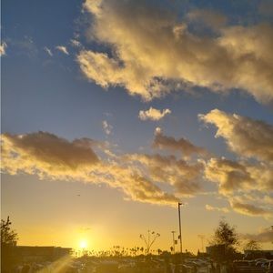 Meet your Posher, Giselle